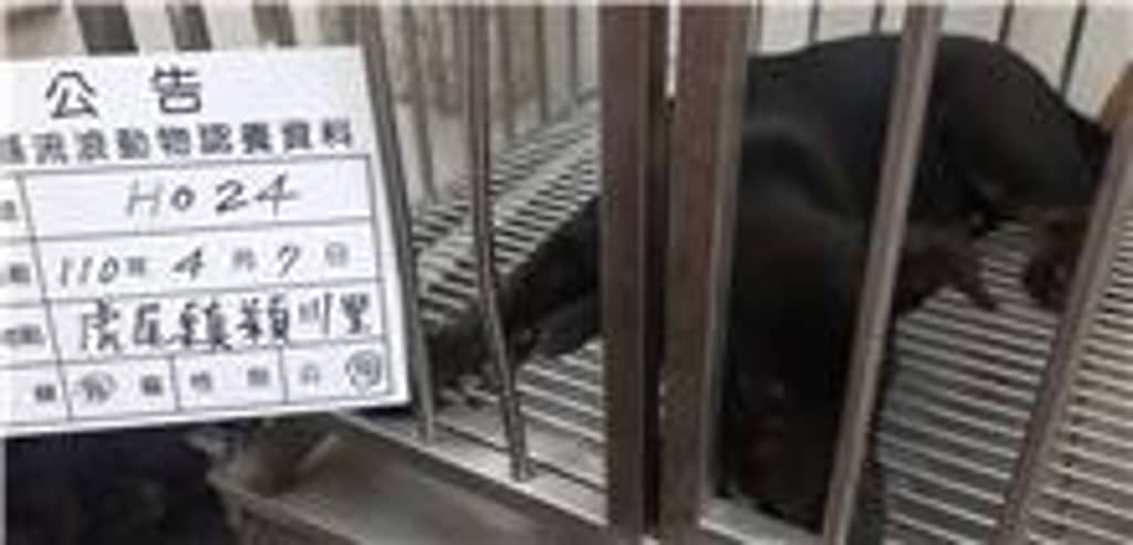 110-H024D 照片 1