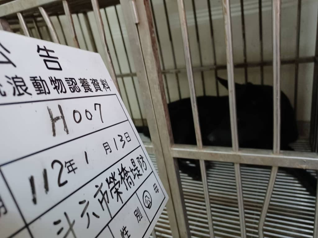112-H007D 照片 1