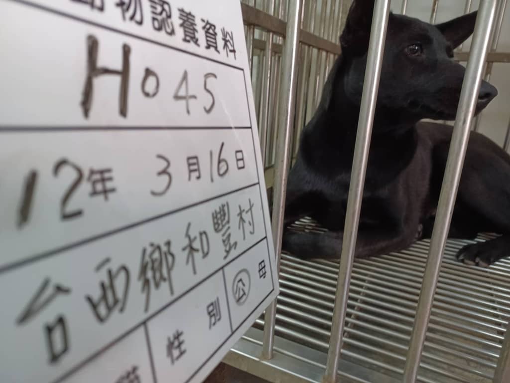 112-H045D 照片 1