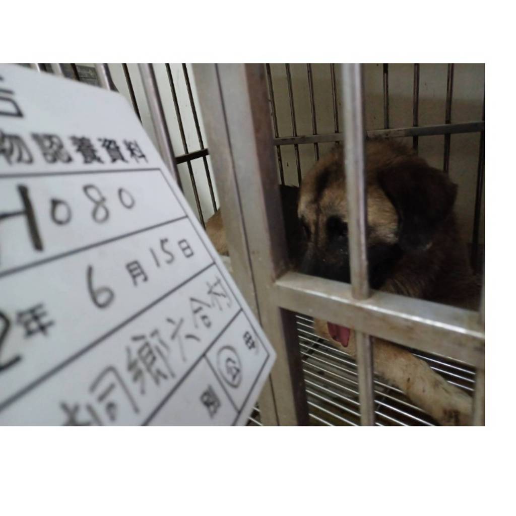 112-H080D 照片 1