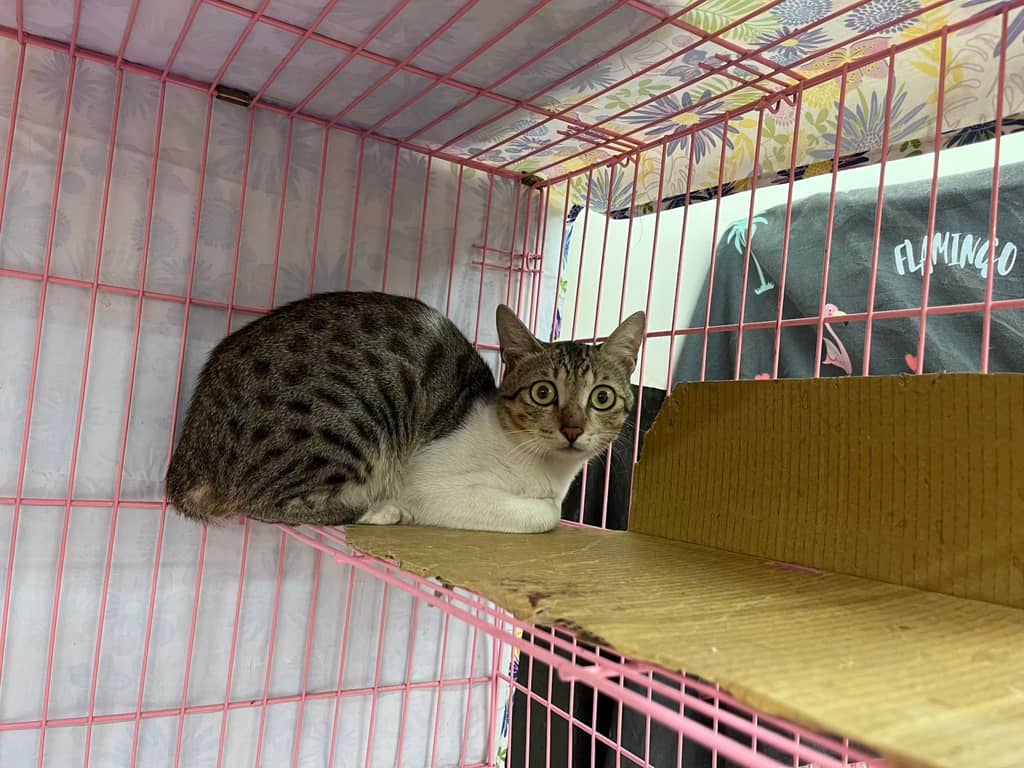 112061904 照片 1