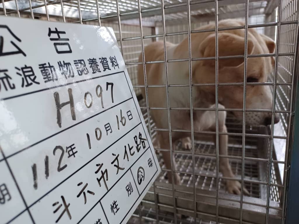112-H097D 照片 1