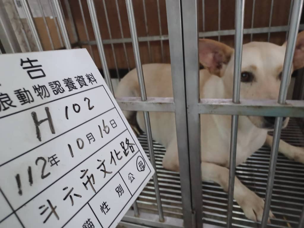 112-H102D 照片 1