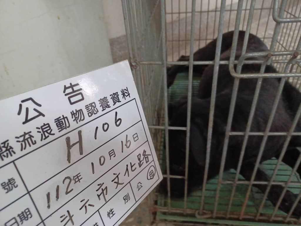 112-H106D 照片 1