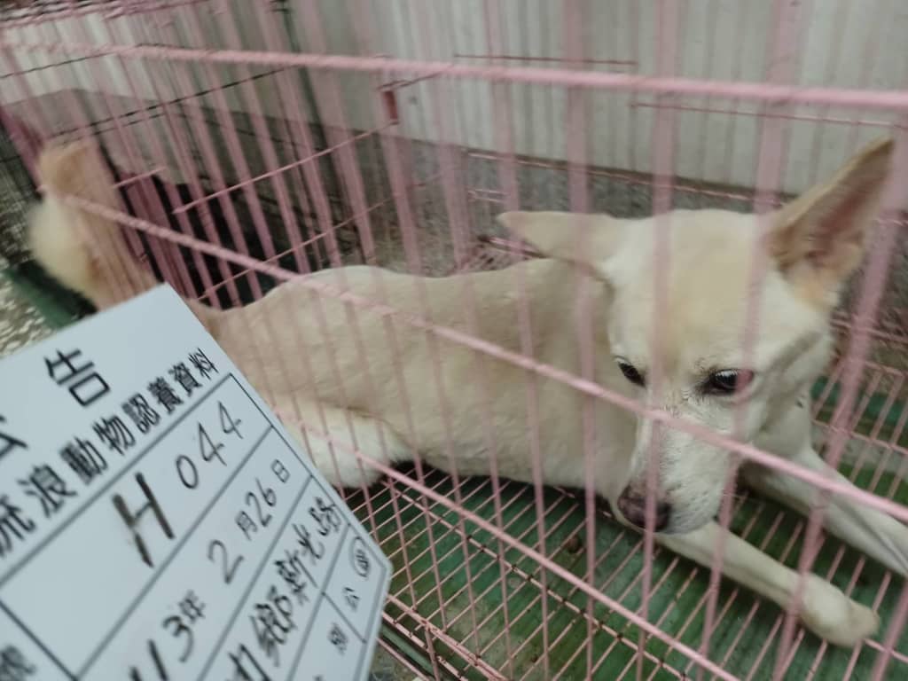 113-H044D 照片 1