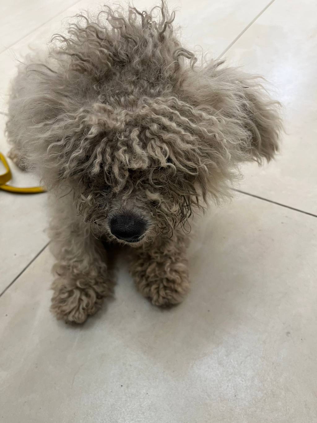 1130416D01 照片 2