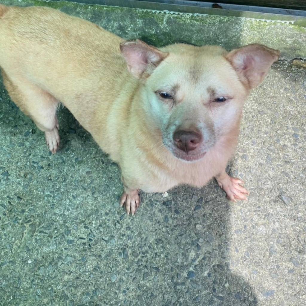 AAAGG105120702 照片 1