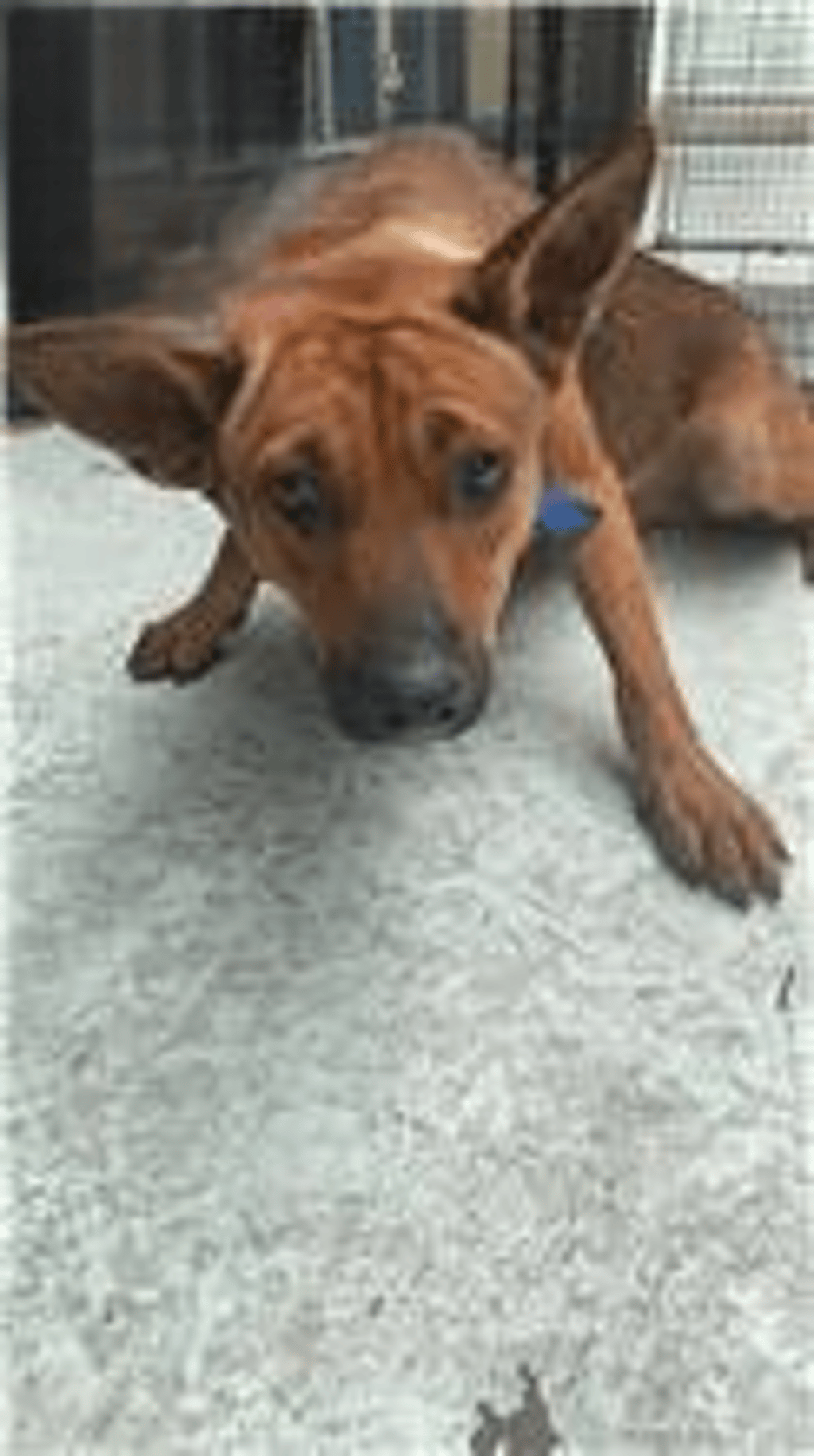 EAAAG1131015005 照片 1