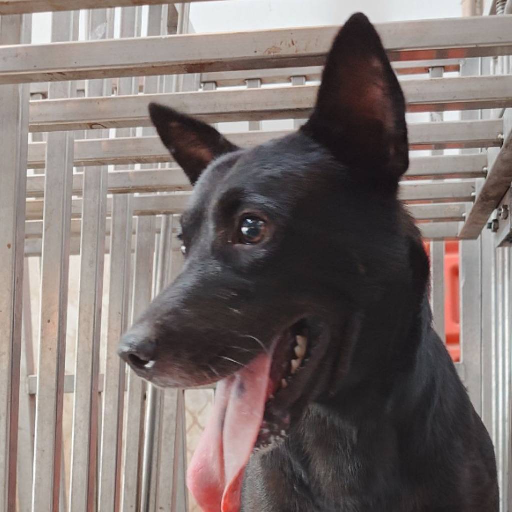S131025-05 照片 1