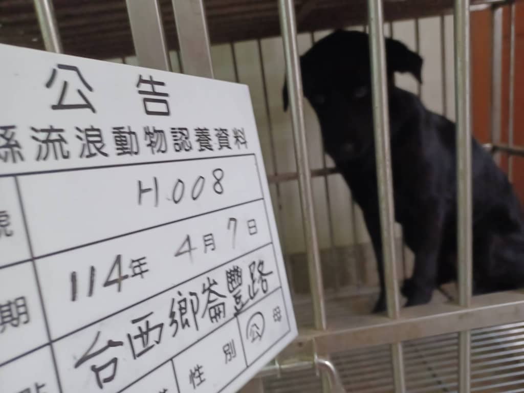 114-H008D 照片 2