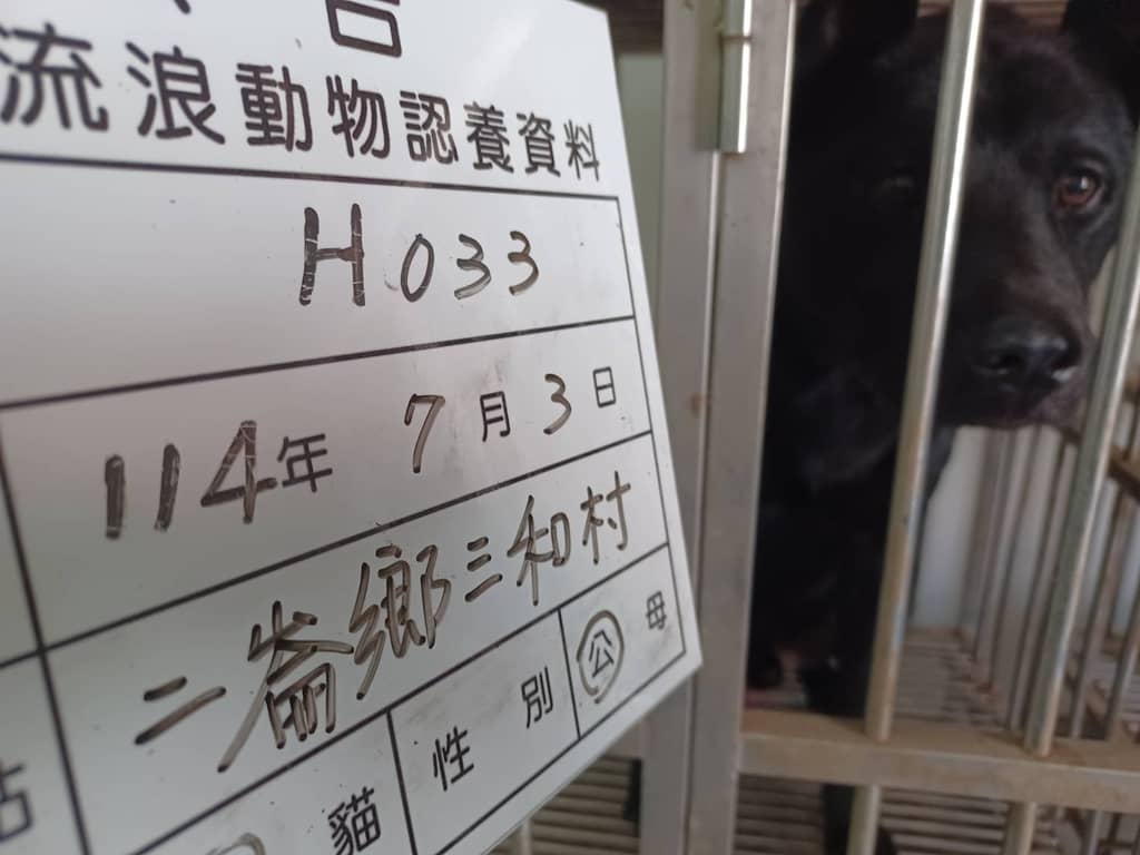 114-H033D 照片 1