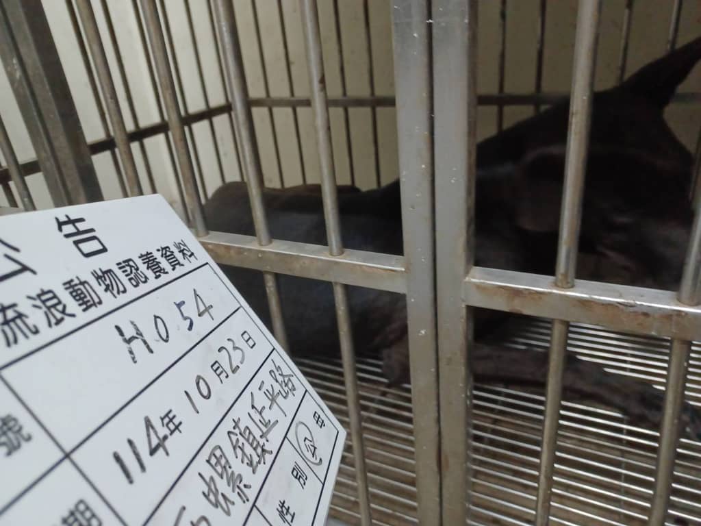 114-H054D 照片 1