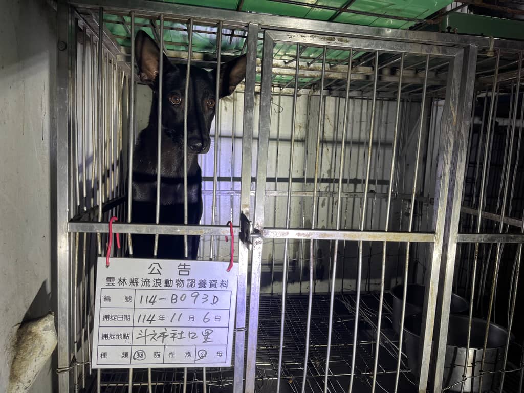 114-B093D 照片 1