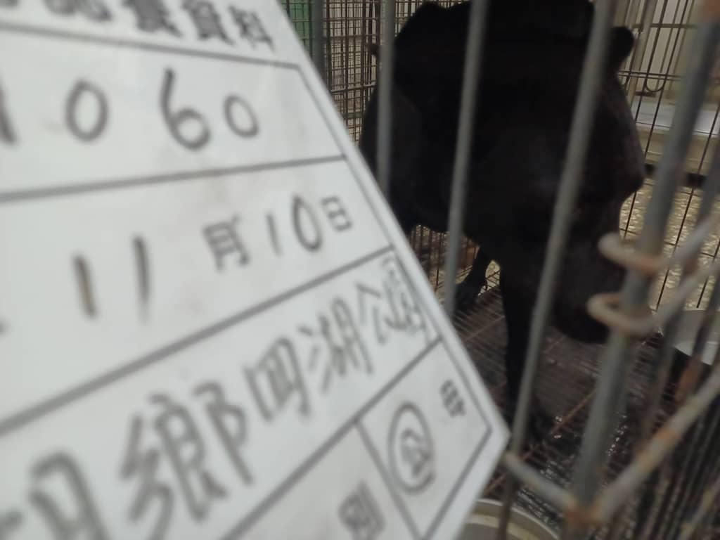 114-H060D 照片 2