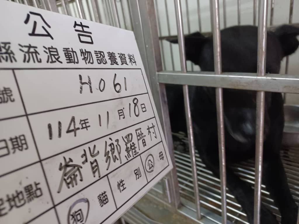 114-H061D 照片 2