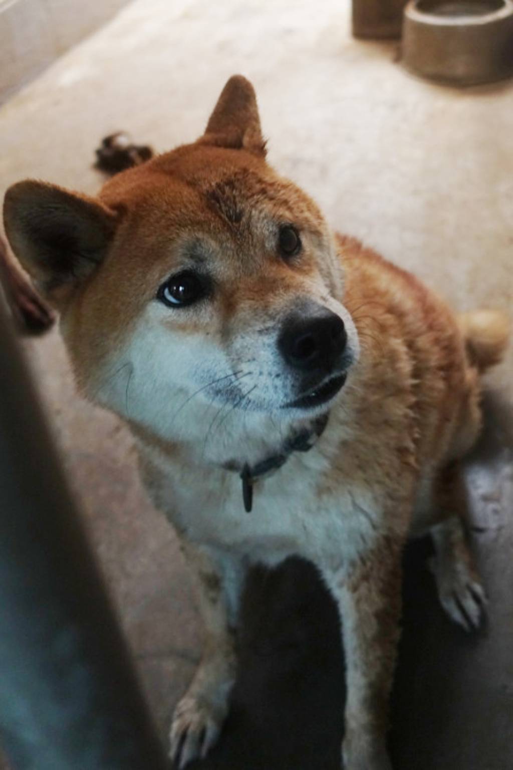 1142096 照片 2