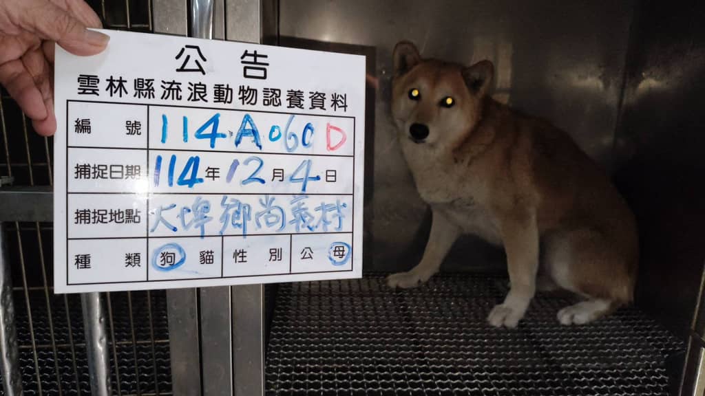 114-A060D 照片 2