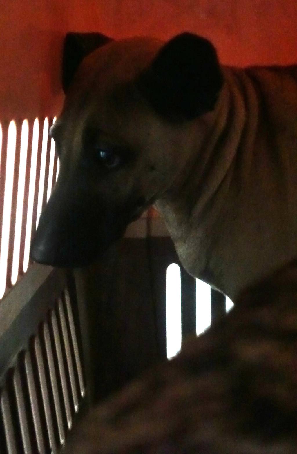 1142356 照片 1