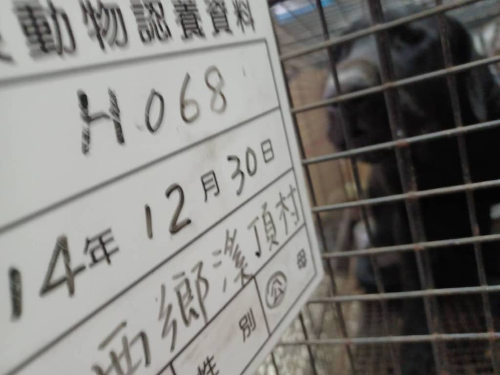 114-H068D 照片 2