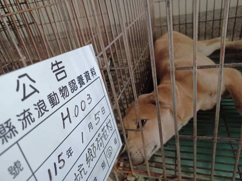 115-H003D 照片 2