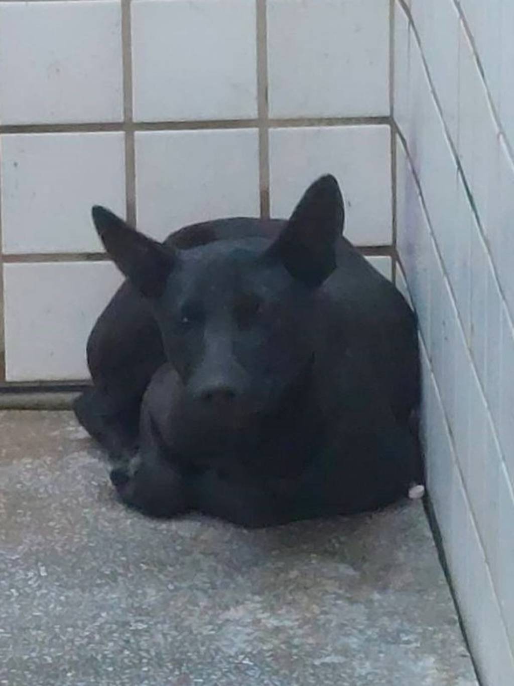1150122 照片 2