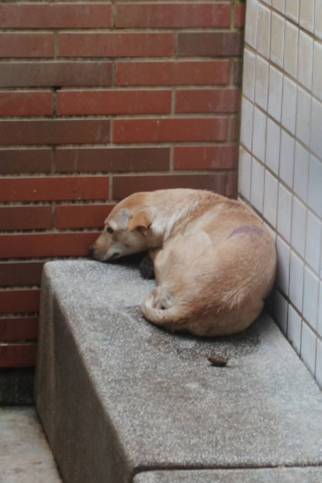 1150221 照片 2