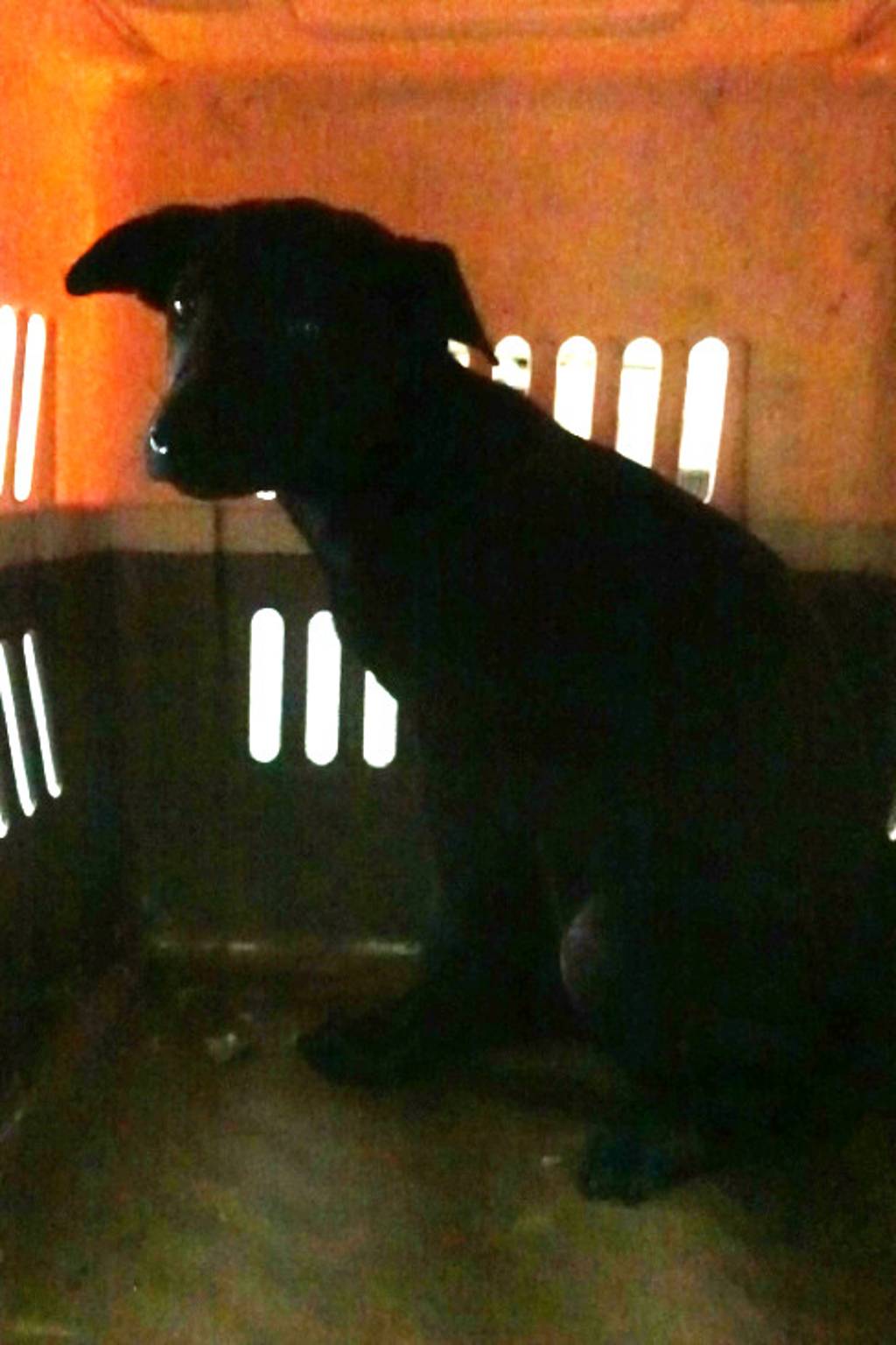 1150383 照片 2