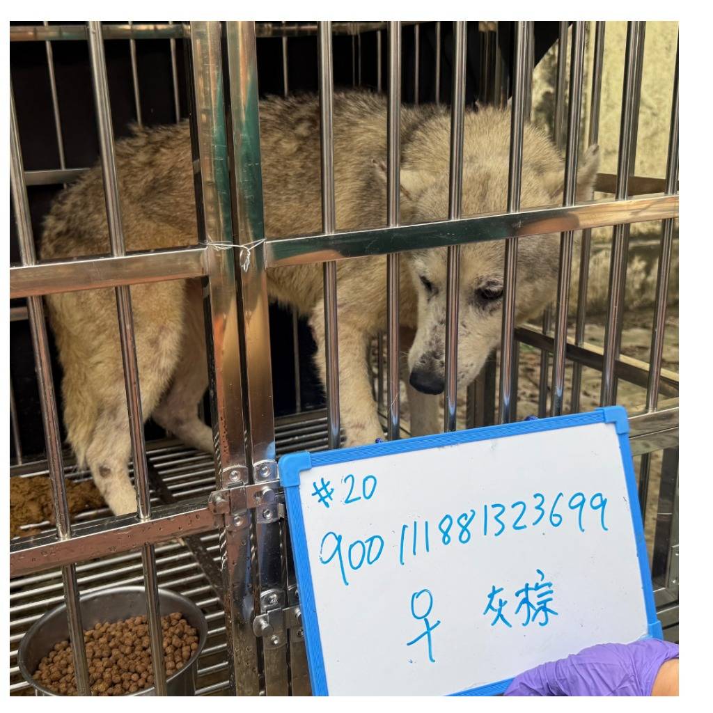S150312-22 照片 2