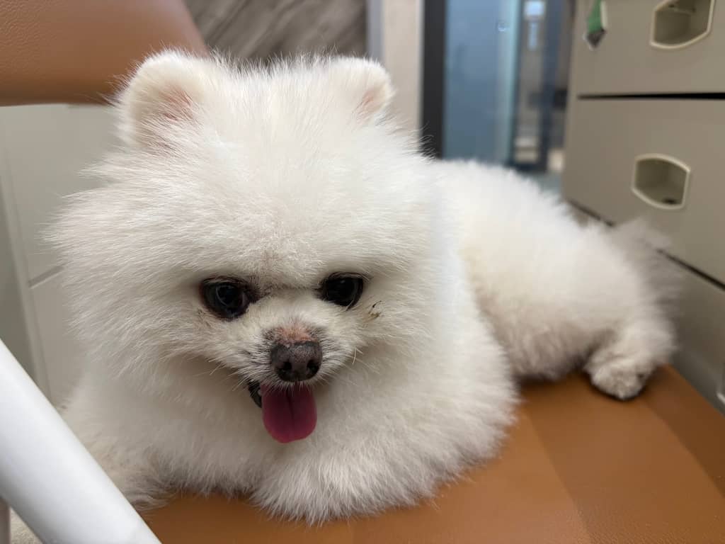 CAAAG1150930001 照片 2