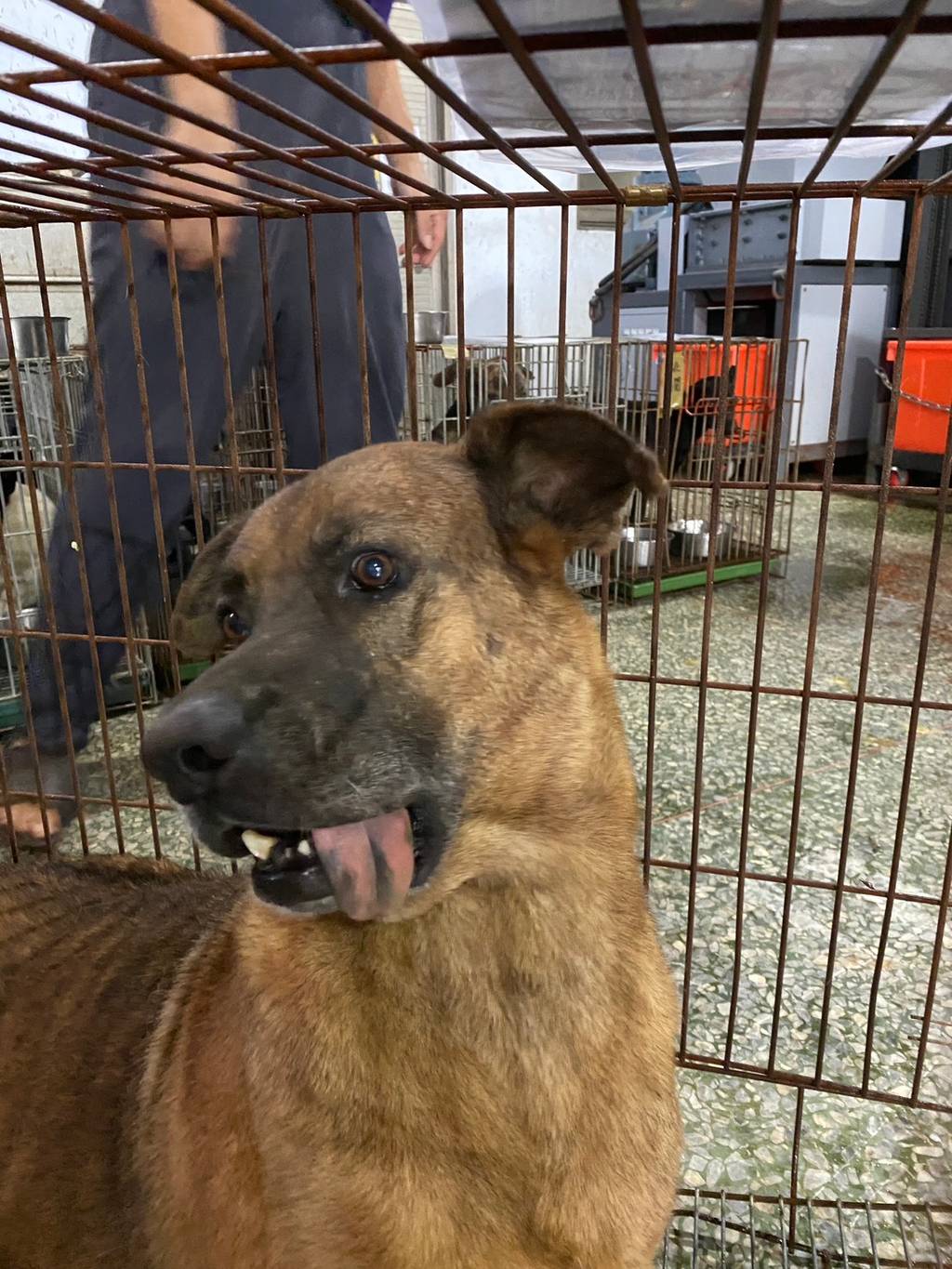 S151002-15 照片 2