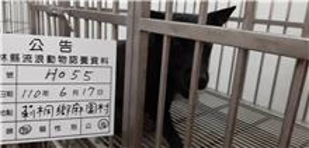 110-H055D 照片 1