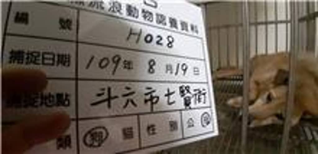 109-H028D 照片 1
