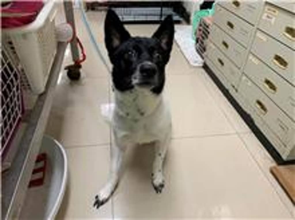 110100807 照片 1