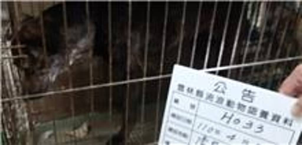 110-H033D 照片 1