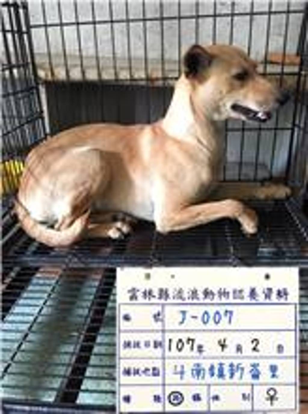 107-J007D 照片 1