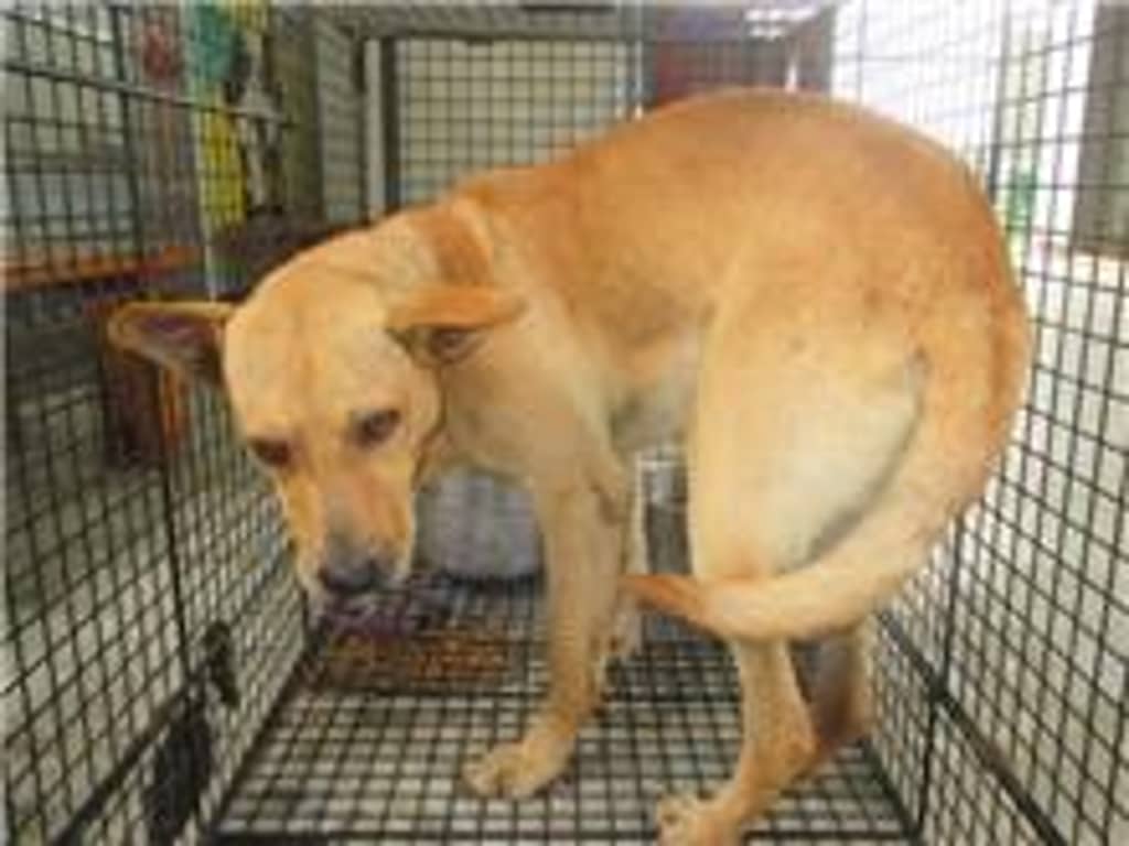 CAAAG1060621002 照片 1