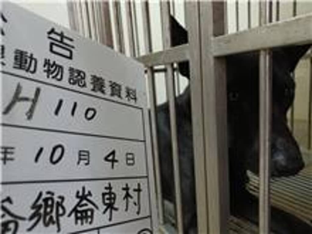 111-H110D 照片 1