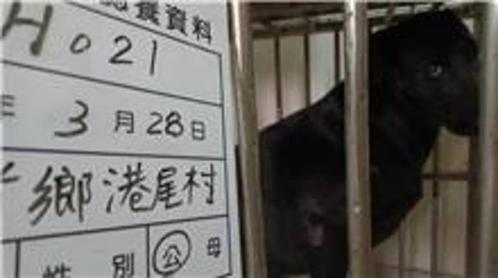 111-H021D 照片 1