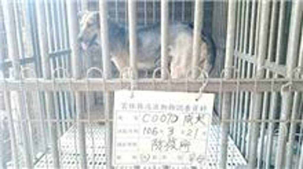 106-C007D 照片 1