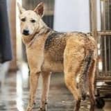 AAAFG1100708001